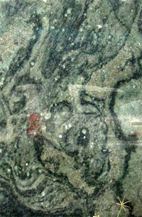 GRANITEC A & M. Palmares - Costa Rica